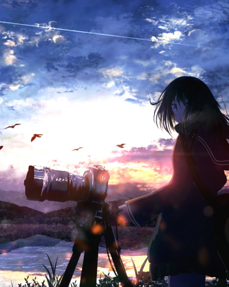 kumeki profile